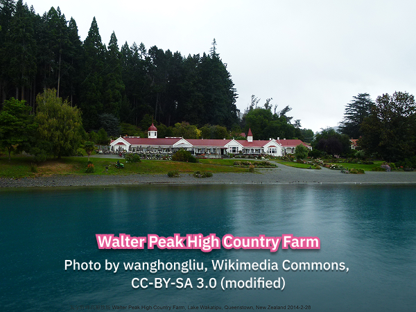 เที่ยวนิวซีแลนด์ Walter Peak High Country Farm